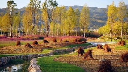 東方園林 向全能型生態(tài)環(huán)保企業(yè)邁進(jìn)，持續(xù)深耕循環(huán)經(jīng)濟(jì)與樹木種植經(jīng)營(yíng)